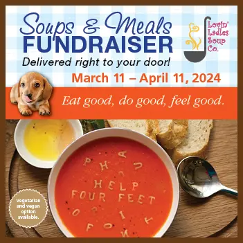 Poster graphic with soup fundraiser details